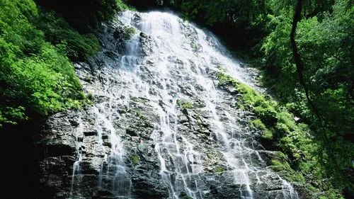 稳定性高效独特